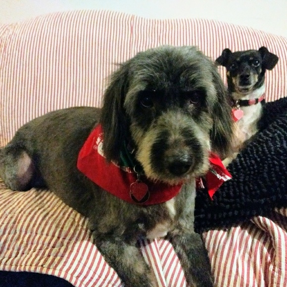 Meet your Posher, Kay - Picture 7 of 8